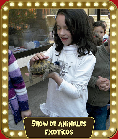 Show de animales exóticos width=