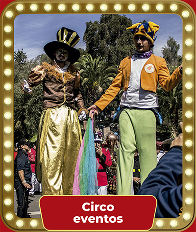 Servicios de circo